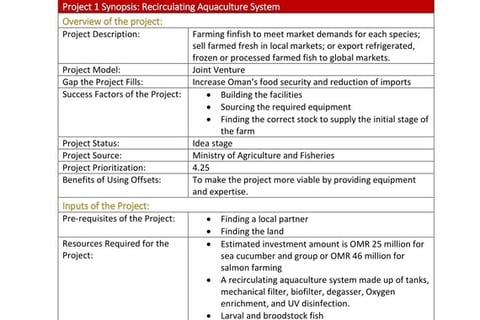 Business and Investment Plan for the Offset Program project