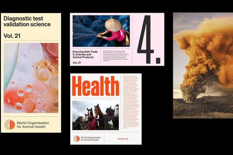 Global Brand Strategy for the World Organization for Animal Health project