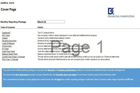 Management Reporting Book with Operating Model project