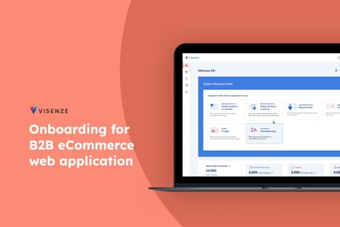 Onboarding Experience for B2B eCommerce Tool project