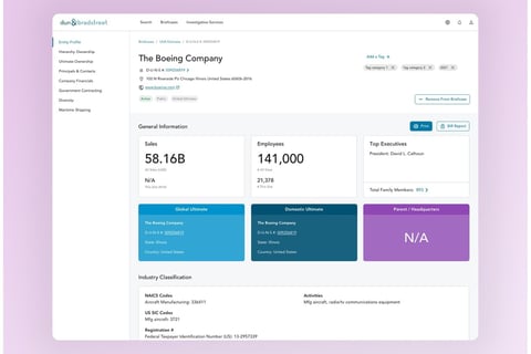 D&B Data Analysis Product project