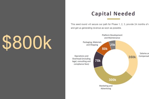 Pitch deck for Financing Purposes project