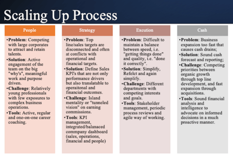 Scaling Up Startups project