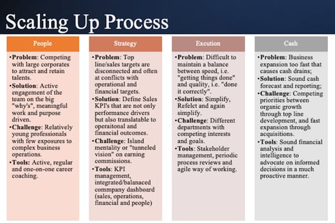Scaling Up Startups project