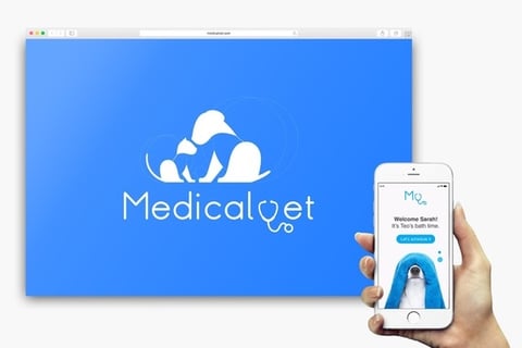 Brand Identity | Medical Vet project