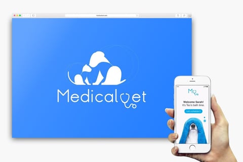 Brand Identity | Medical Vet project