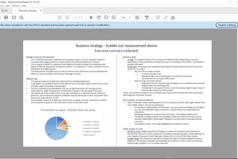 Business Strategy and Product Commercialization project