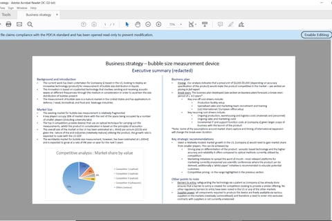Business Strategy and Product Commercialization project