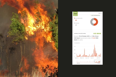 Global Forest Watch project