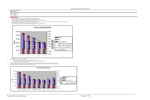 Turnaround for the French Subsidiary of an International Group project