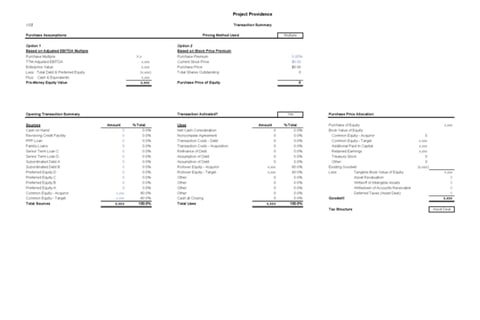 Transaction Model for the Merger of Two Multi-business Unit Private Companies project