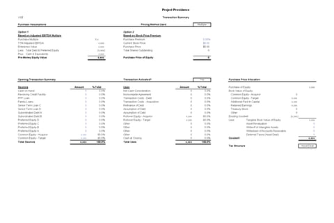 Transaction Model for the Merger of Two Multi-business Unit Private Companies project