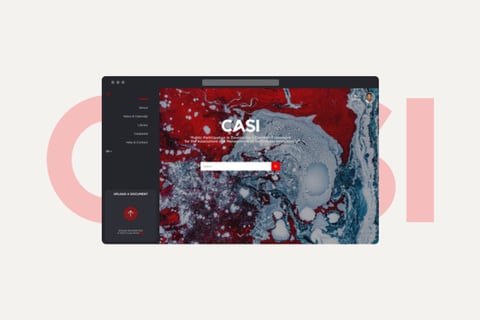 CASI Platform | Branding and Design project