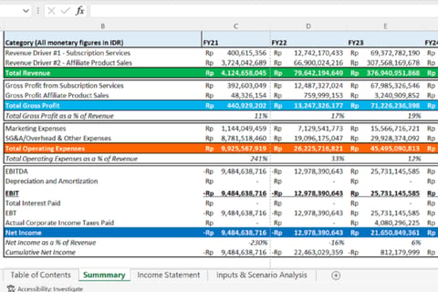 Financial Projections and Budgeting Model project