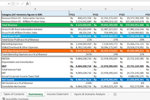 Financial Projections and Budgeting Model project