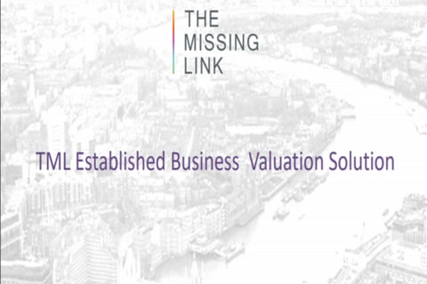 Accurate Business Valuation project