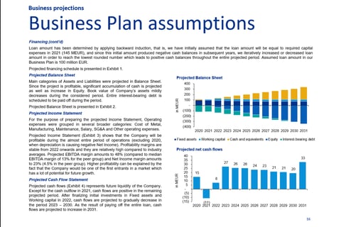 Business Plan Preparation project