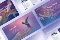 UI/UX Design for Desktop and Mobile Website for a Medical Research Company