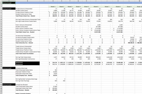 Financial Model – Template for Revenues project