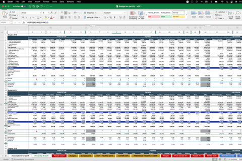 Budget and Business Plan project