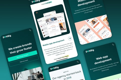 Agency Website Design project