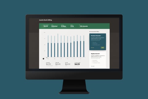 Customer Service for Telecommunications project