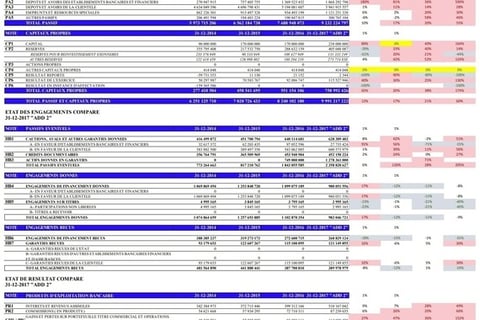 Post-audit of Balance Sheet project