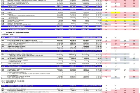 Post-audit of Balance Sheet project