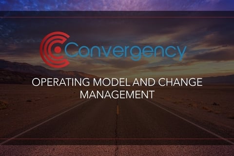 M&A Support | Operating Model project