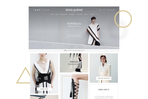 Website Design | Zeus + Dione project