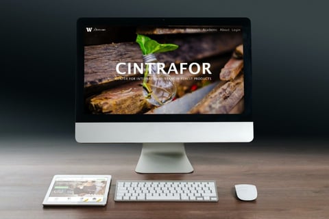 Website for Center for International Trade in Forest Products (CINTRAFOR) project