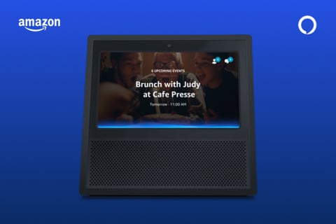 Alexa Voice Visual project