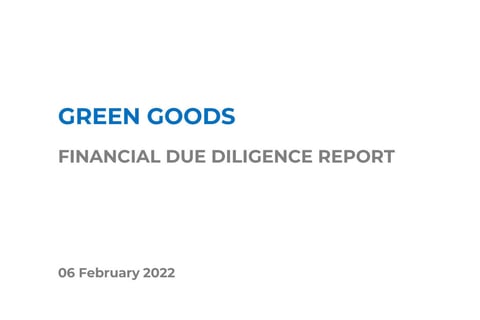 Financial Due Diligence for an eCommerce Business Acquisition project