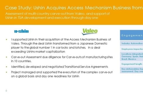 Carve out Assessment, Transition Service Agreements (TSA), and Deal Execution Support project