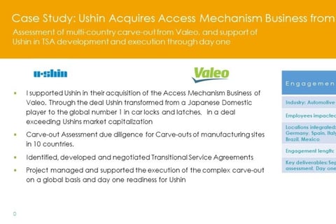 Carve out Assessment, Transition Service Agreements (TSA), and Deal Execution Support project