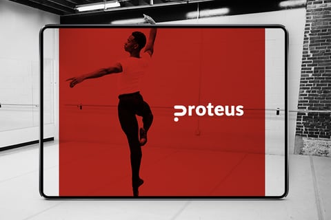 Proteus Web Reskin project
