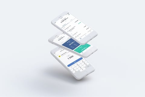 Mobile App Development for Raiffeisen Bank International (RBI) project