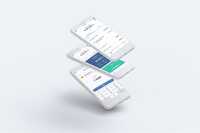 Mobile App Development for Raiffeisen Bank International (RBI)