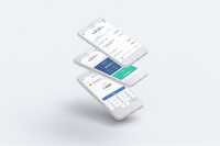 Mobile App Development for Raiffeisen Bank International (RBI)