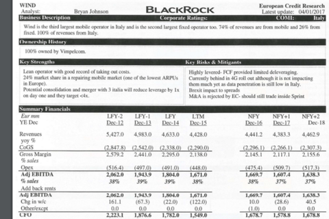 Investment Memo on a European Telecom project
