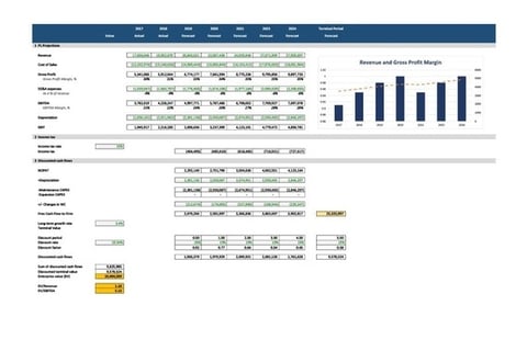 DCF Valuation of a Healthcare Company project