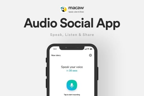 Macaw | Social Audio App project