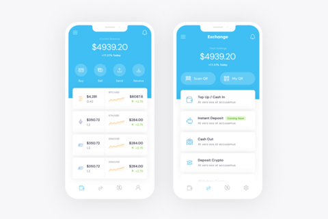 Dollie Wallet App project