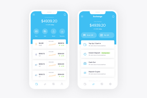 Dollie Wallet App project