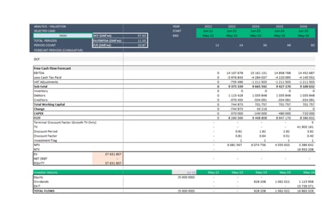 Forecasting, Analysis and Valuation of a Software Engineering Business project
