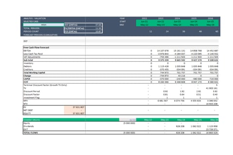 Forecasting, Analysis and Valuation of a Software Engineering Business project