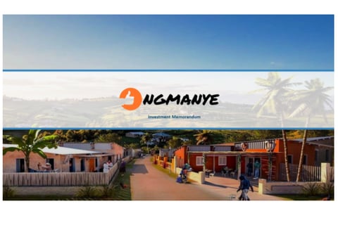 Investment Memorandum project