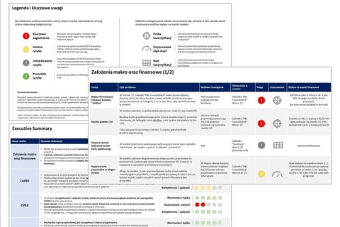 Business Plan Assessment for a Private Investment in the Entertainment and Leisure Industry project