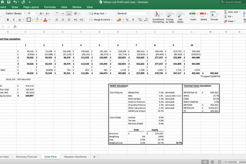 Talysin | Small Company Valuation project