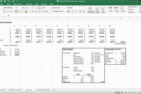 Talysin | Small Company Valuation project